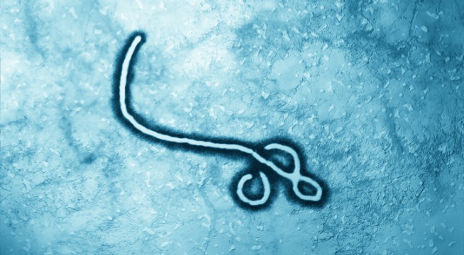 Ebola Ebola