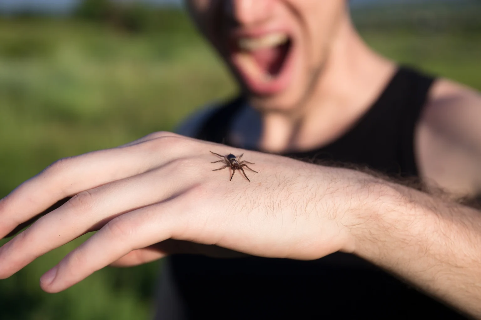 Treatment for Spider Bites